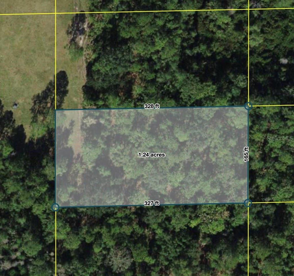 MINERAL RIGHTS - Land