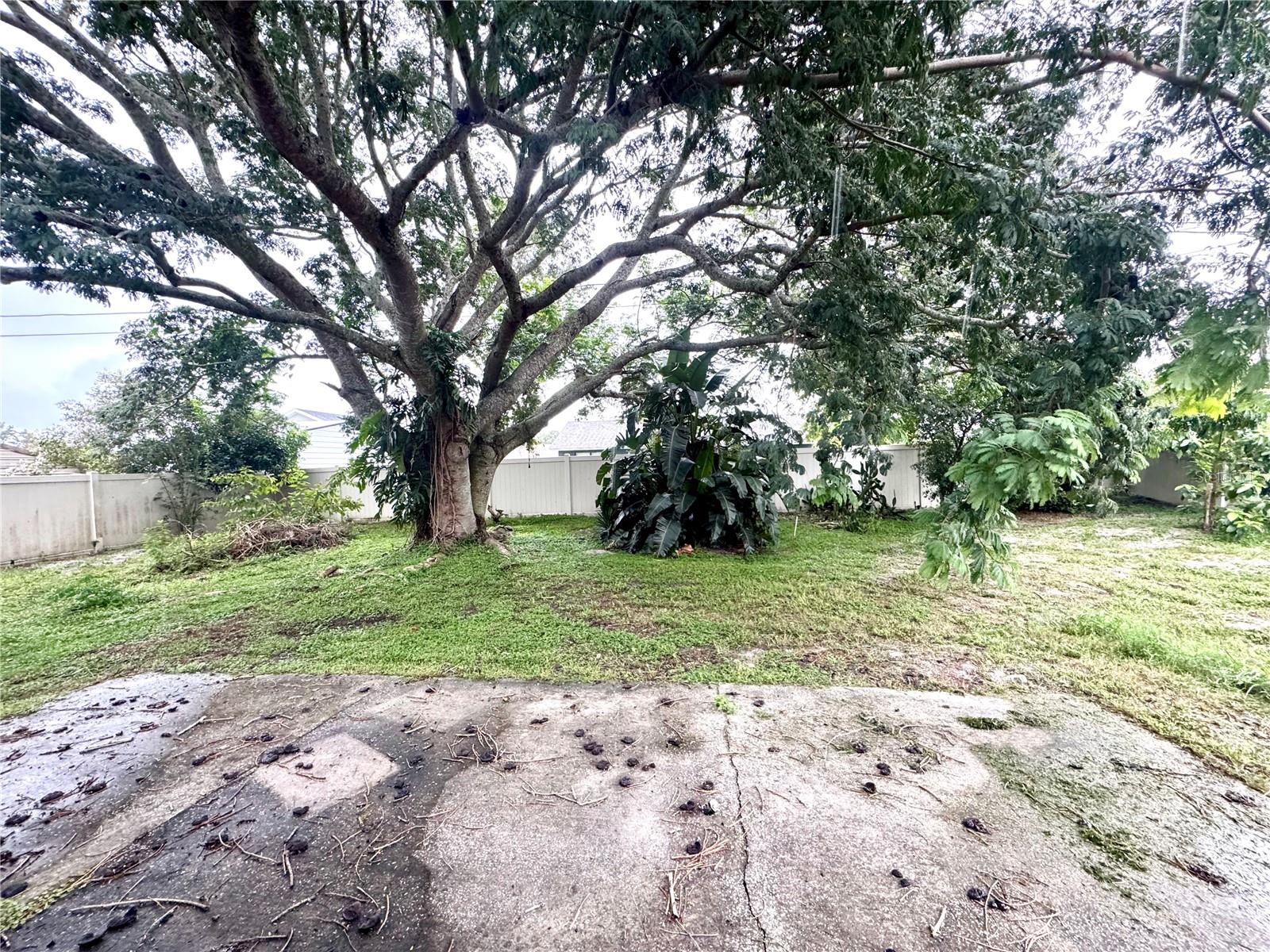 DELTONA LAKES UNIT 32 - Residential