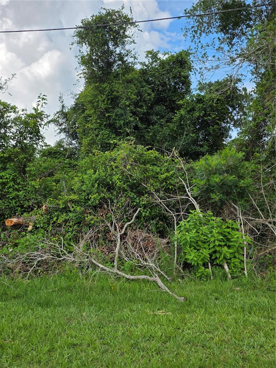 DELTONA LAKES - Land