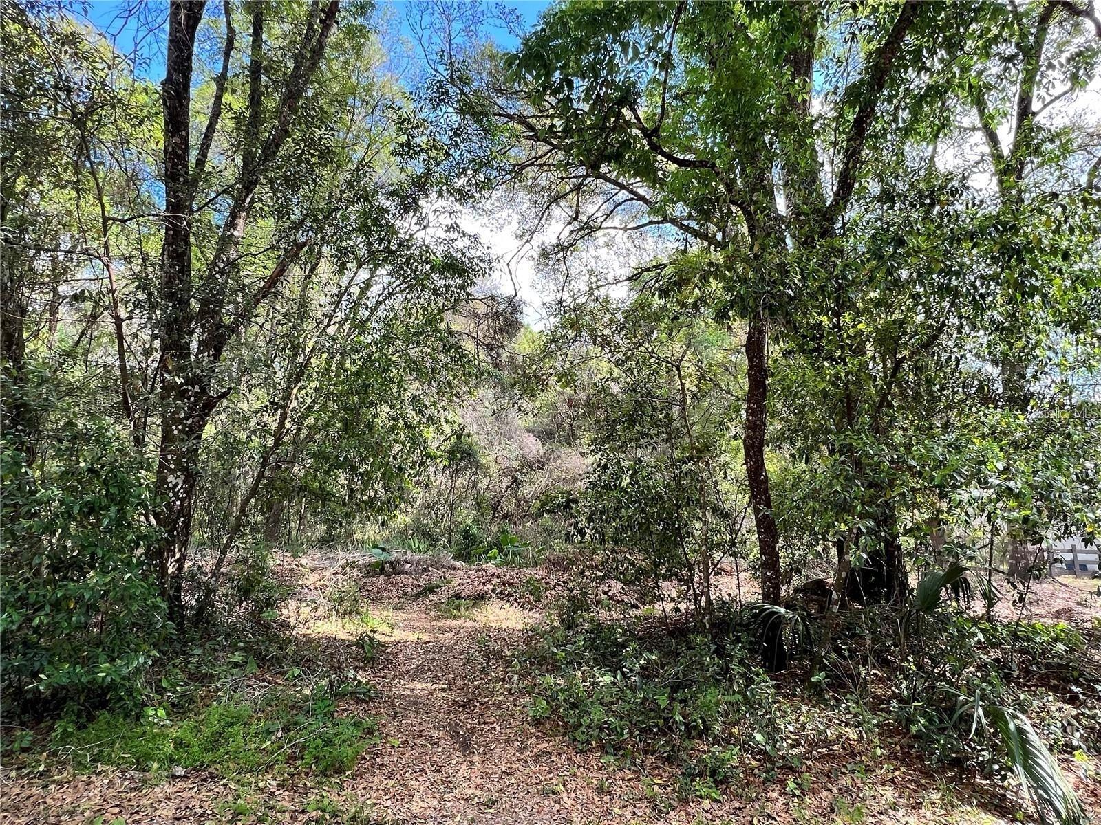 Don’t miss this opportunity to build your dream home on this conveniently located vacant lot. Situated just minutes from US-41, Ayers Road, the county line, and the Veterans Expressway, this property offers an easy commute to Tampa and surrounding areas.
Enjoy close proximity to a wide variety of shopping, dining, and everyday conveniences while still having the space and freedom to create a custom home that fits your vision. Whether you’re a builder, investor, or future homeowner, this lot provides an excellent location with strong accessibility and growth potential.

Bring your plans and start building your future today!