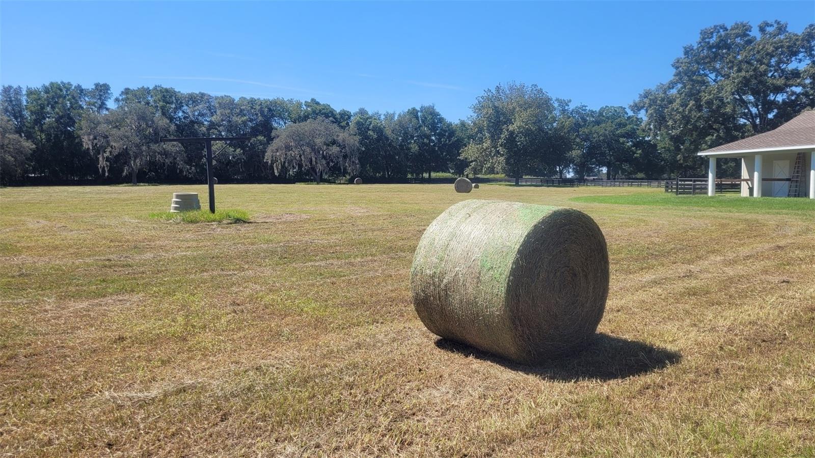 EQUINE ESTATE - Residential