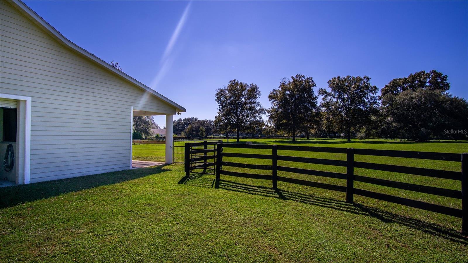EQUINE ESTATE - Residential