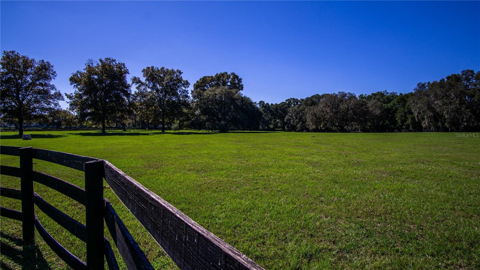 EQUINE ESTATE - Residential