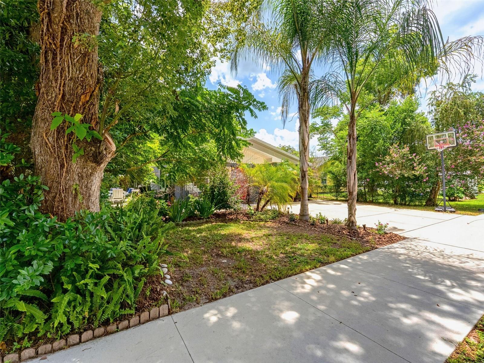 CITY ZEPHYRHILLS - Residential