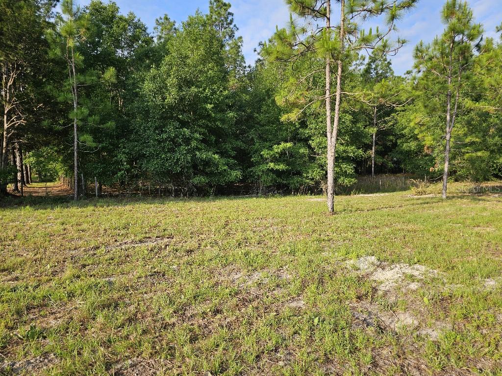 SHILOH FARMS - Land