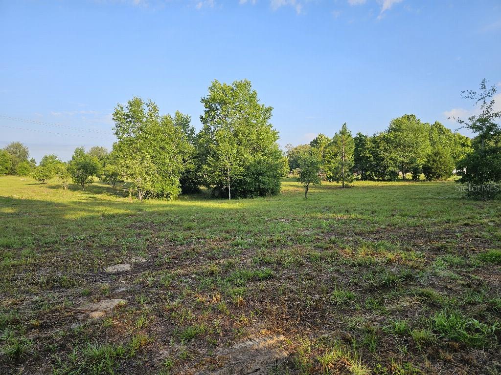 SHILOH FARMS - Land