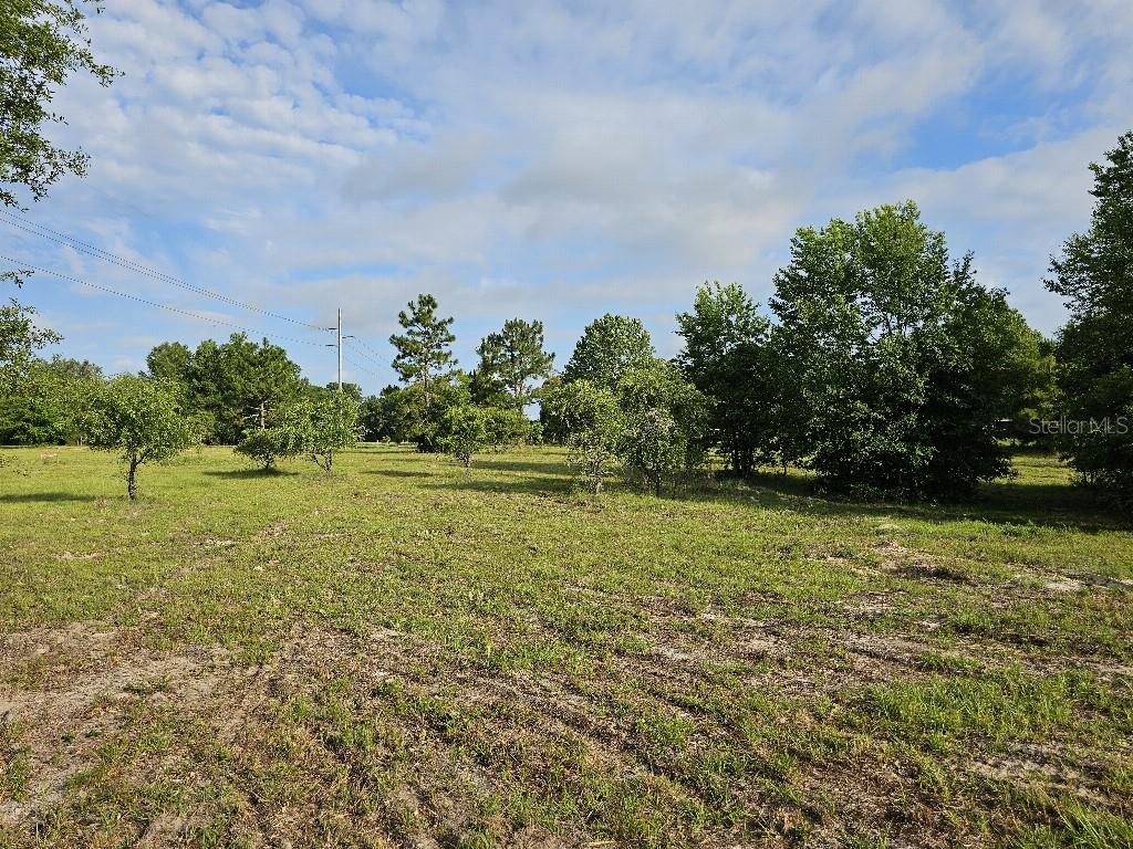 SHILOH FARMS - Land