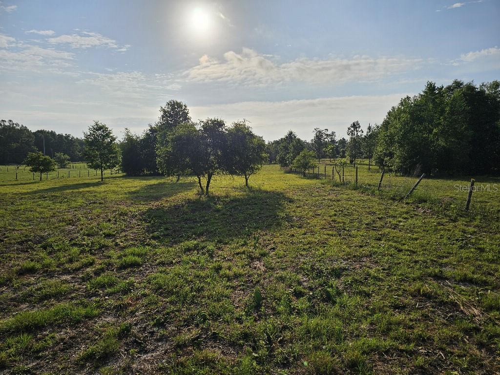 SHILOH FARMS - Land