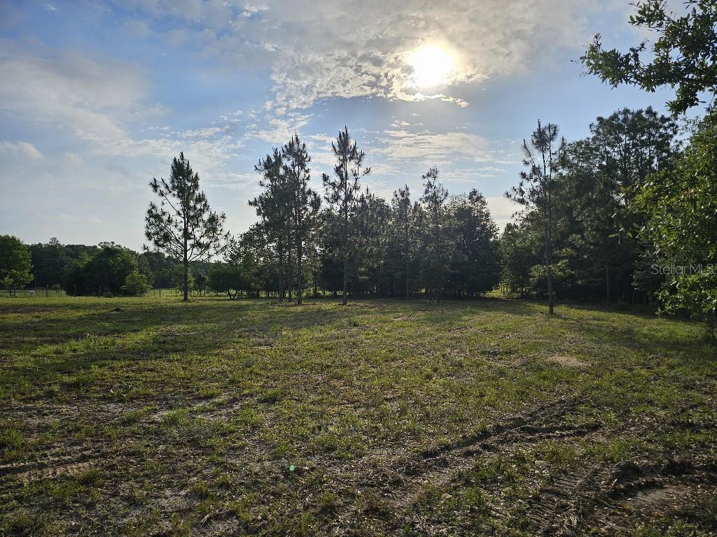 SHILOH FARMS - Land