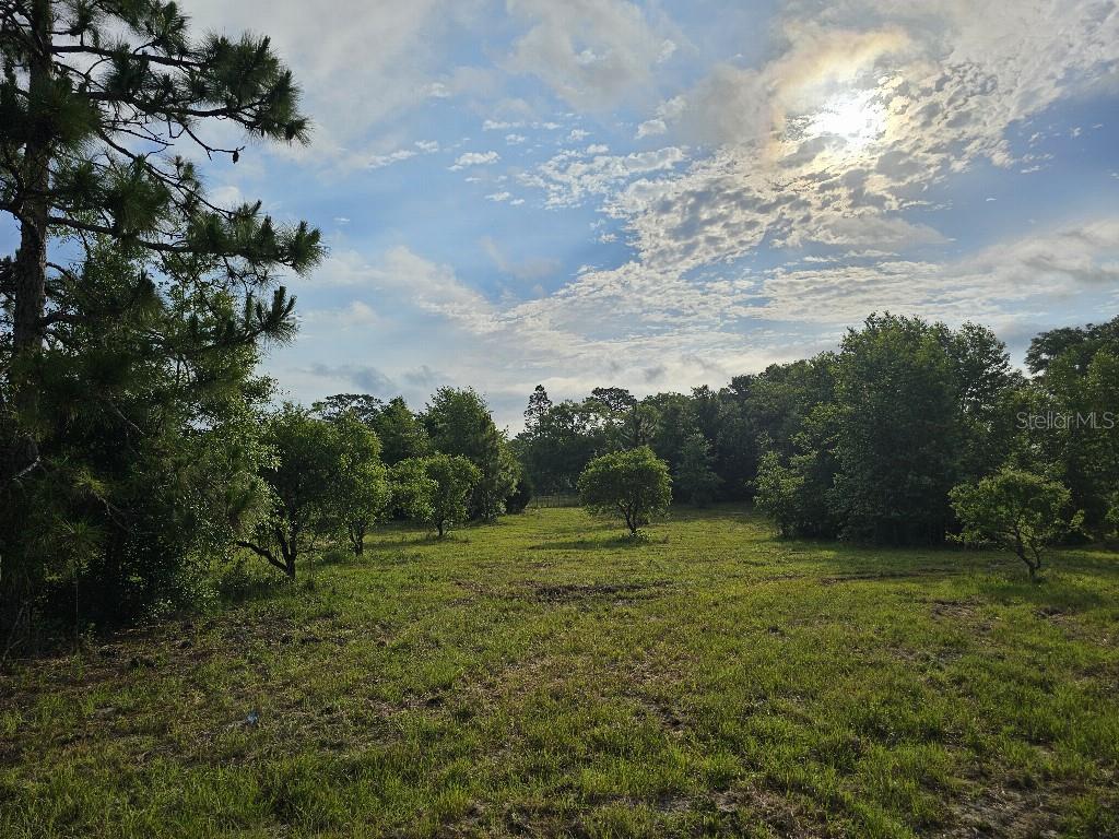 SHILOH FARMS - Land