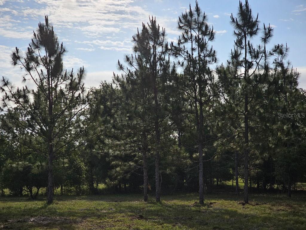 SHILOH FARMS - Land