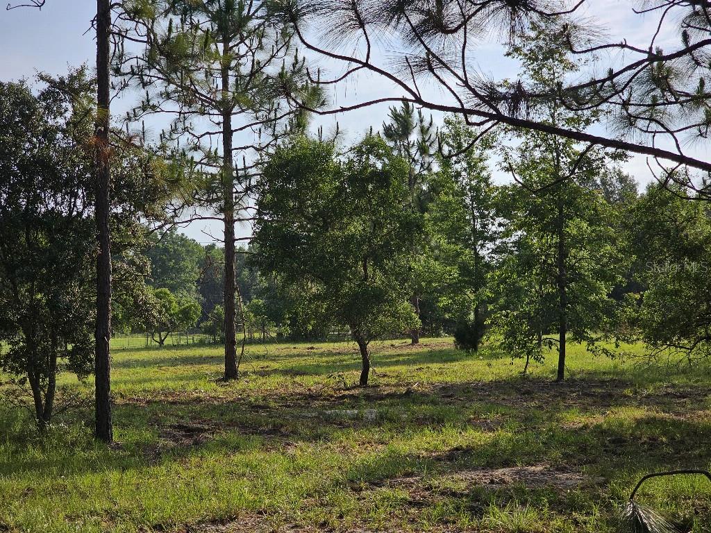 SHILOH FARMS - Land