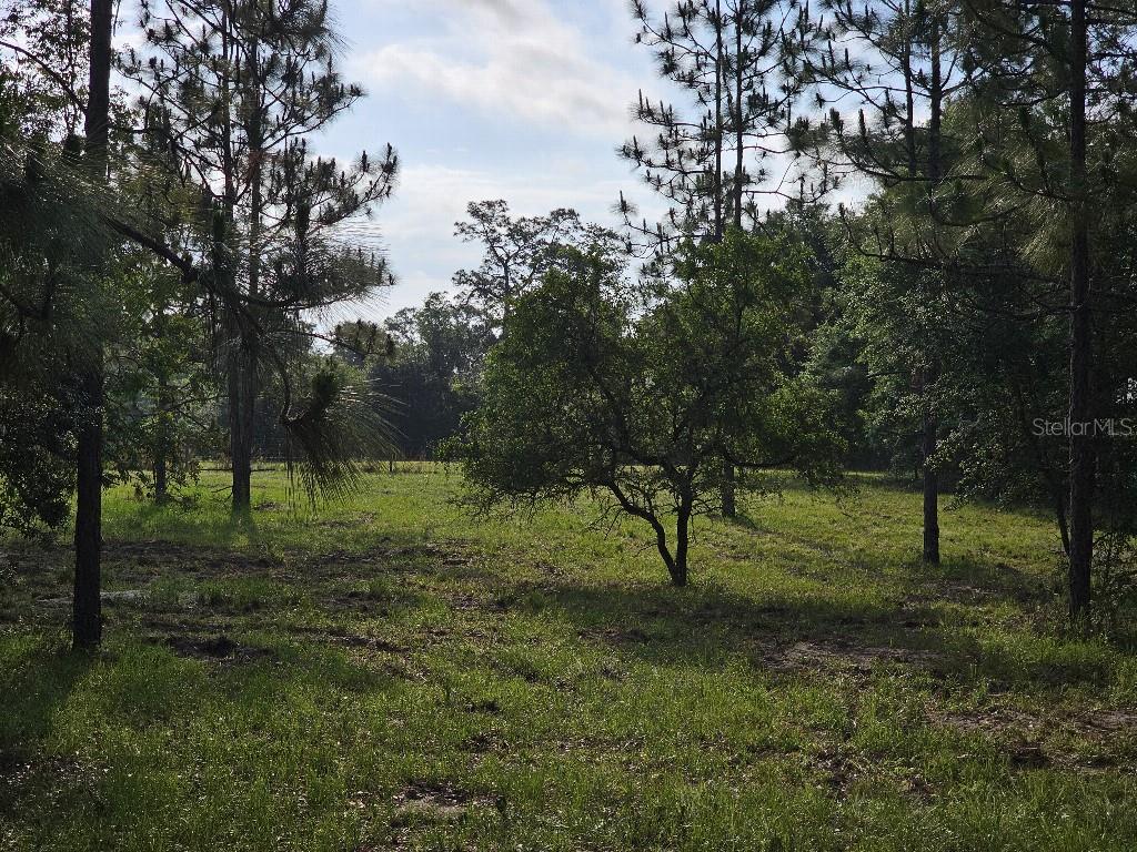 SHILOH FARMS - Land