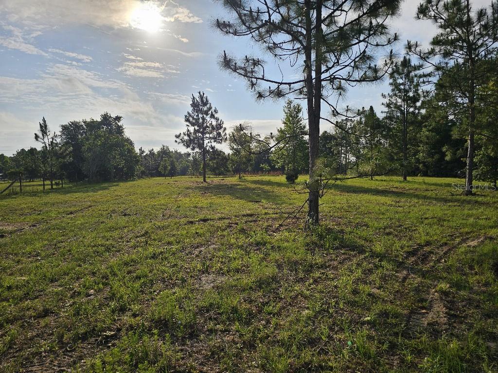 SHILOH FARMS - Land