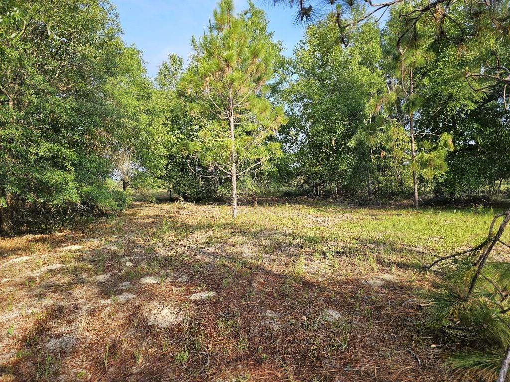SHILOH FARMS - Land