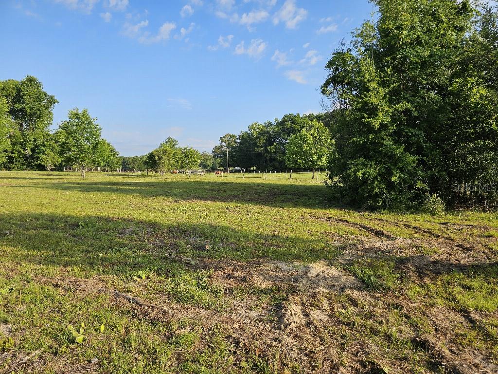 SHILOH FARMS - Land