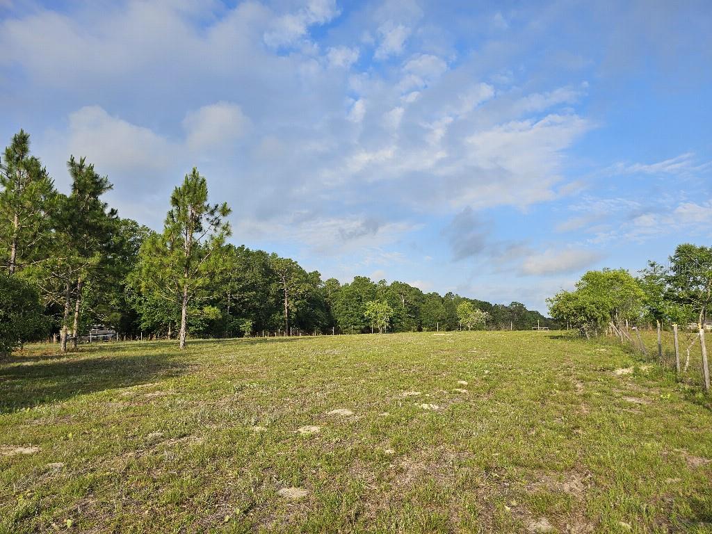 SHILOH FARMS - Land