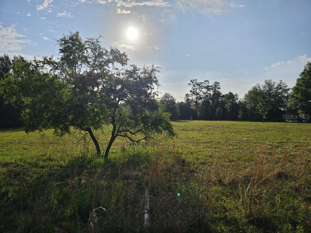 SHILOH FARMS - Land