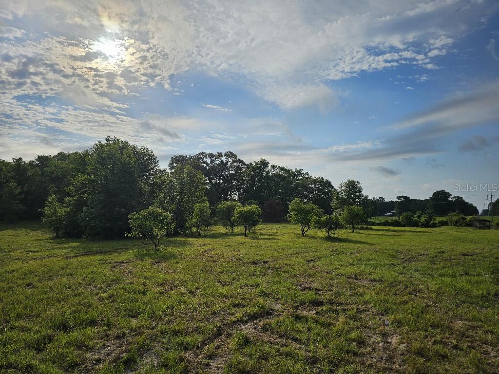 SHILOH FARMS - Land