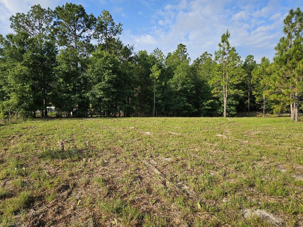SHILOH FARMS - Land