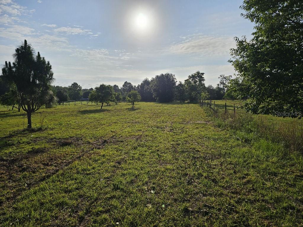 SHILOH FARMS - Land