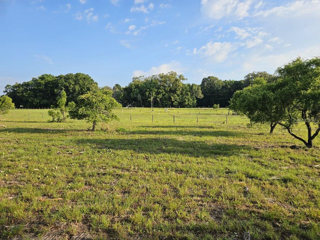 SHILOH FARMS - Land