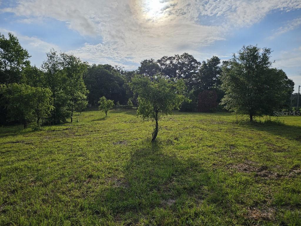 SHILOH FARMS - Land