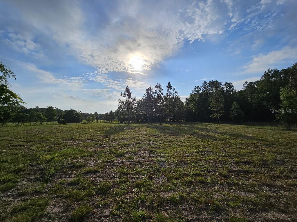 SHILOH FARMS - Land