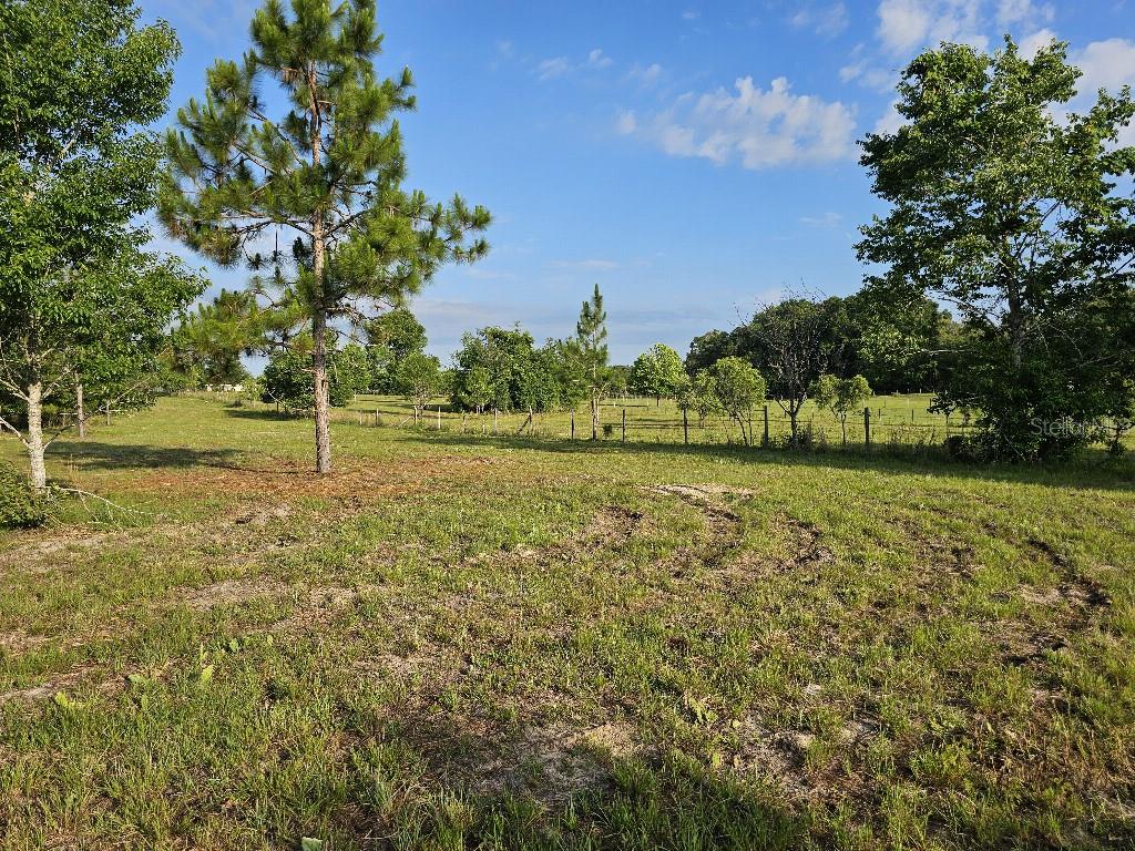 SHILOH FARMS - Land
