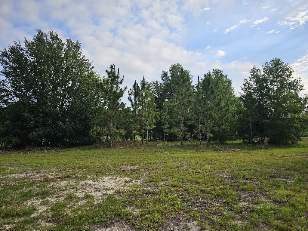 SHILOH FARMS - Land