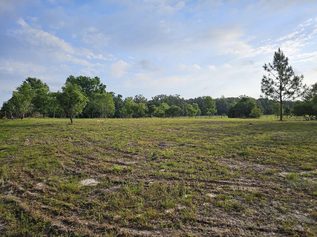 SHILOH FARMS - Land