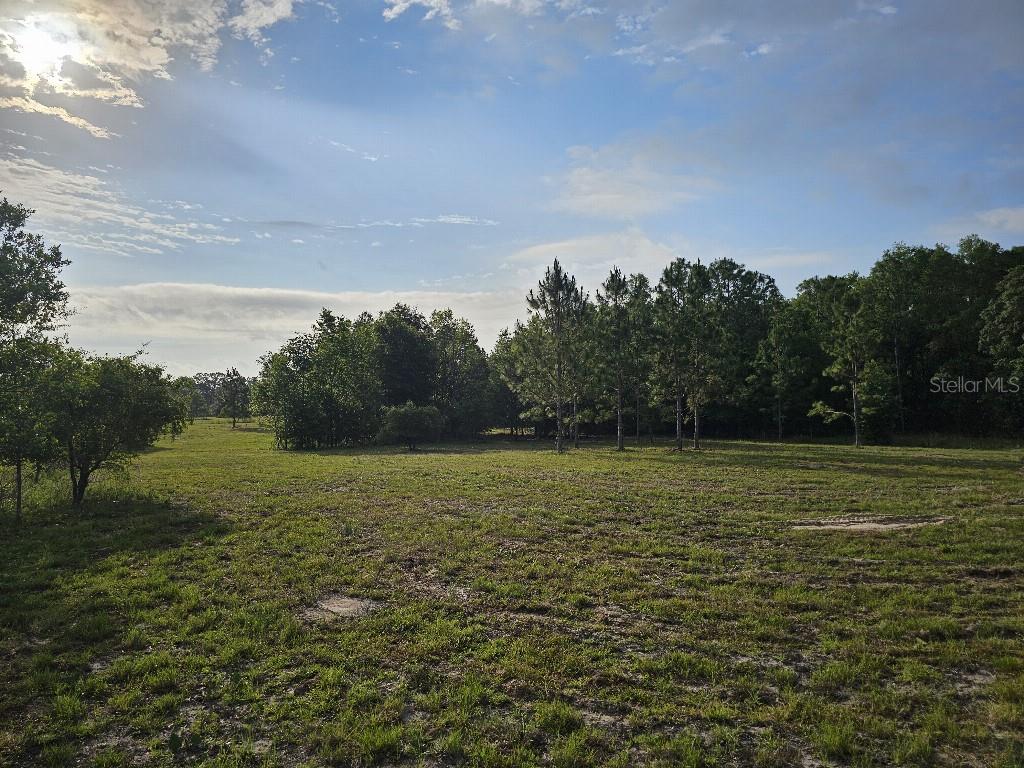 SHILOH FARMS - Land