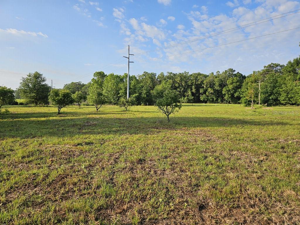 SHILOH FARMS - Land
