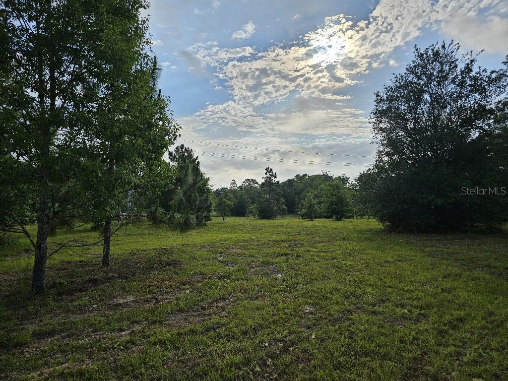 SHILOH FARMS - Land