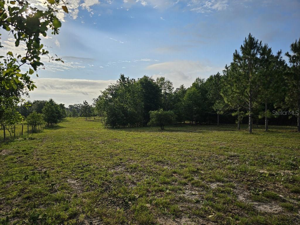 SHILOH FARMS - Land