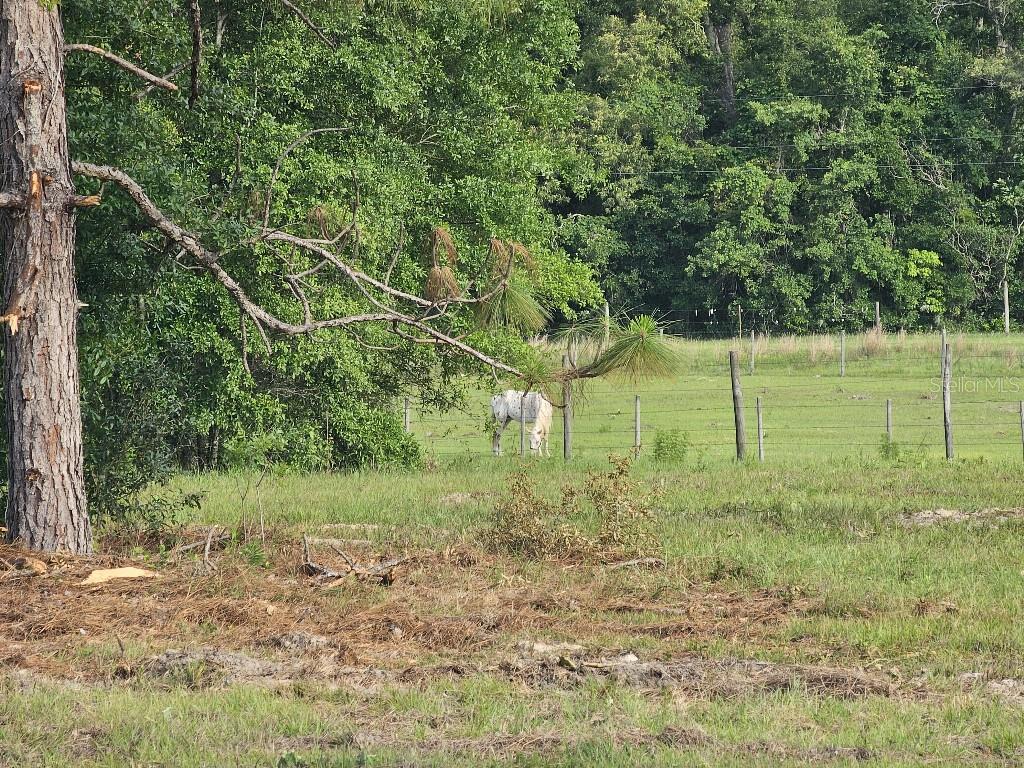 SHILOH FARMS - Land