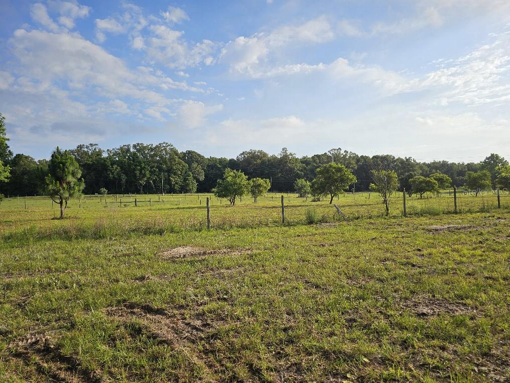 SHILOH FARMS - Land