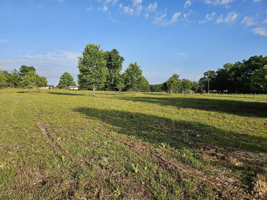 SHILOH FARMS - Land