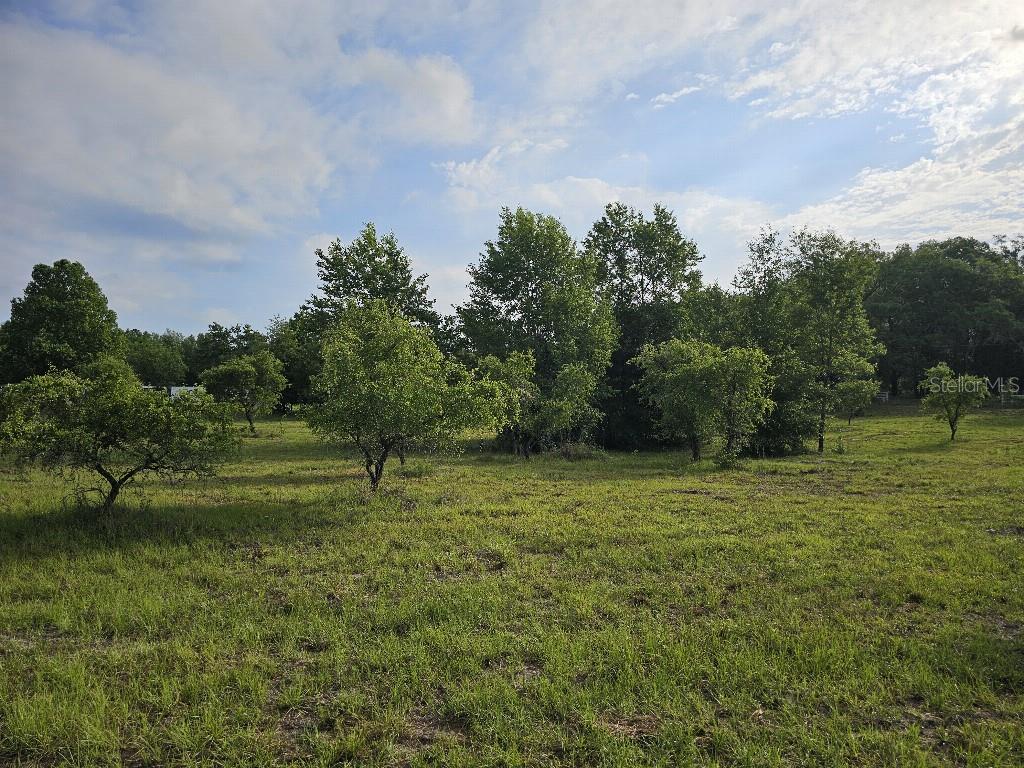 SHILOH FARMS - Land