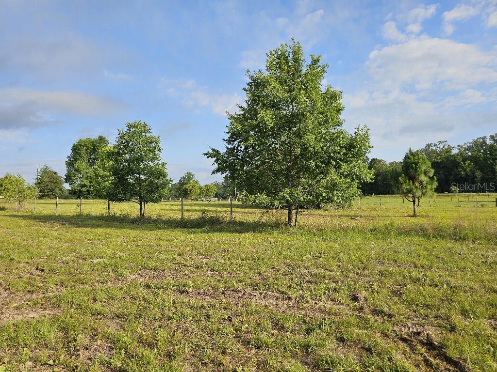 SHILOH FARMS - Land