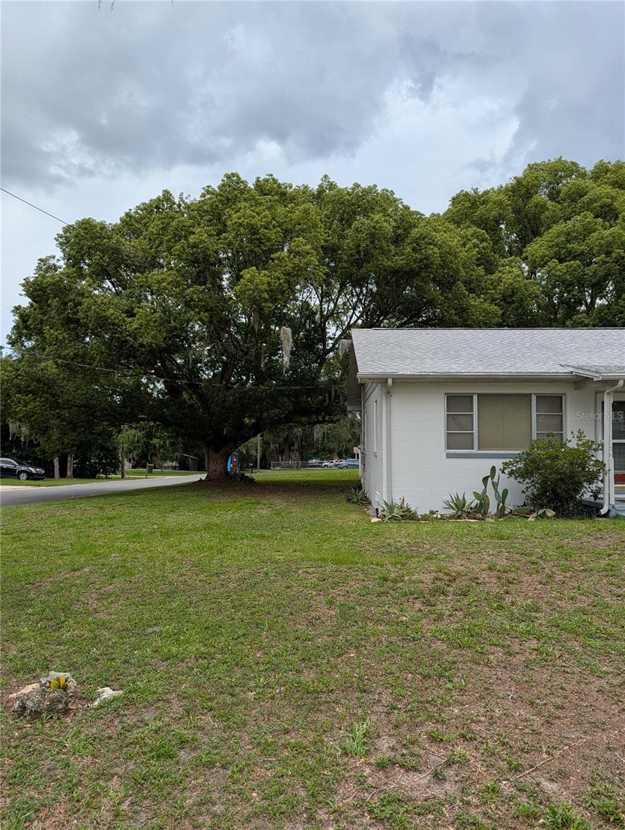 BELLEVIEW - Residential