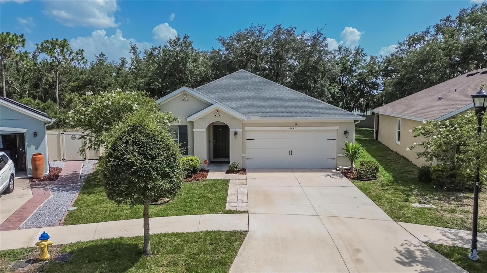DG FARMS PH 3B - Residential
