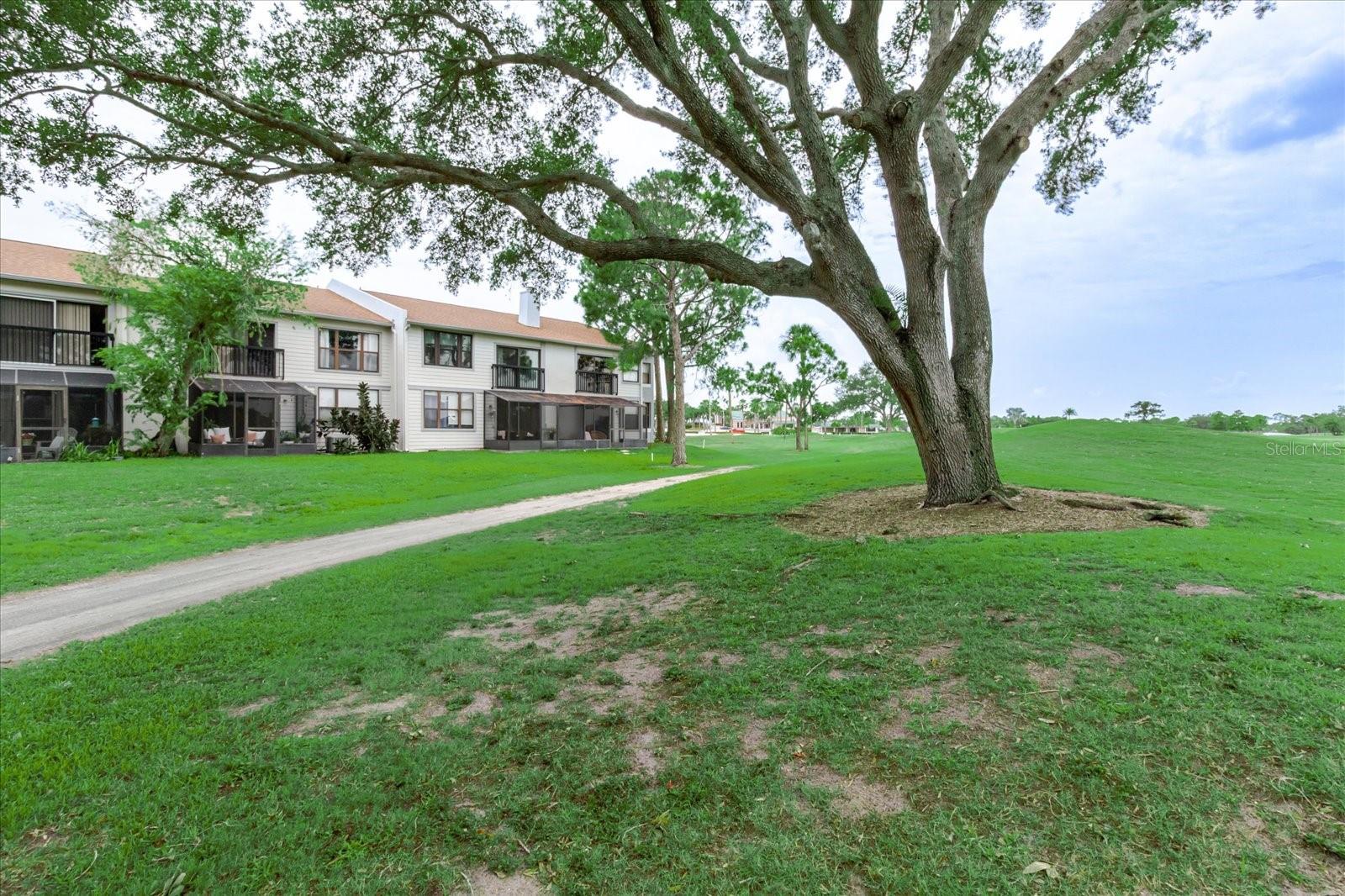 CLUB AT FEATHER SOUND THE CONDO - Residential