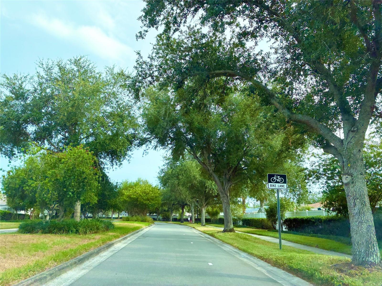 82P | CARRIAGE POINTE PHASE 1 - Residential