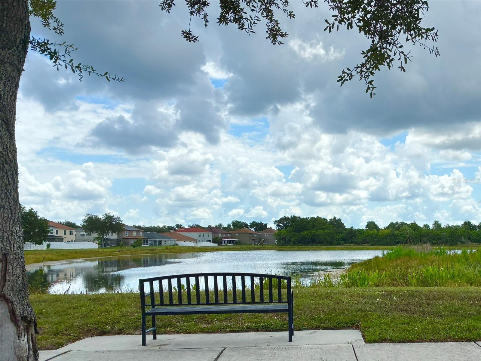 82P | CARRIAGE POINTE PHASE 1 - Residential