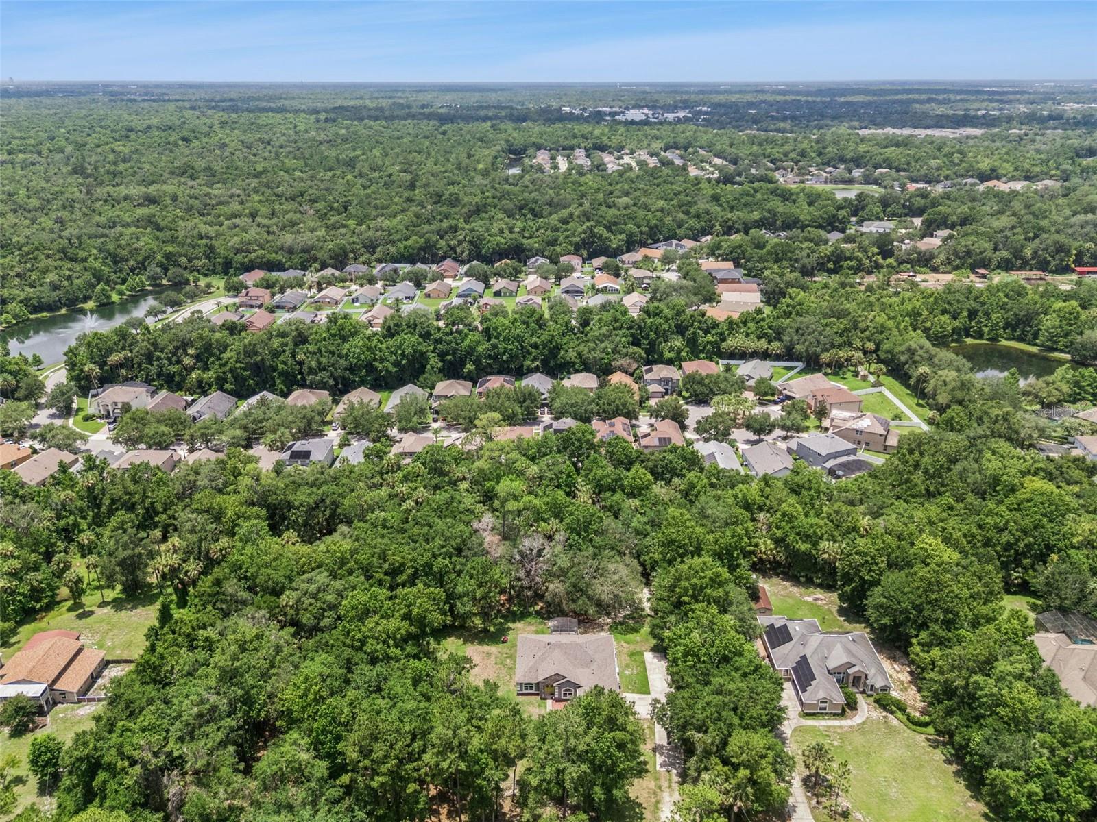 EUREKA HAMMOCK - Residential