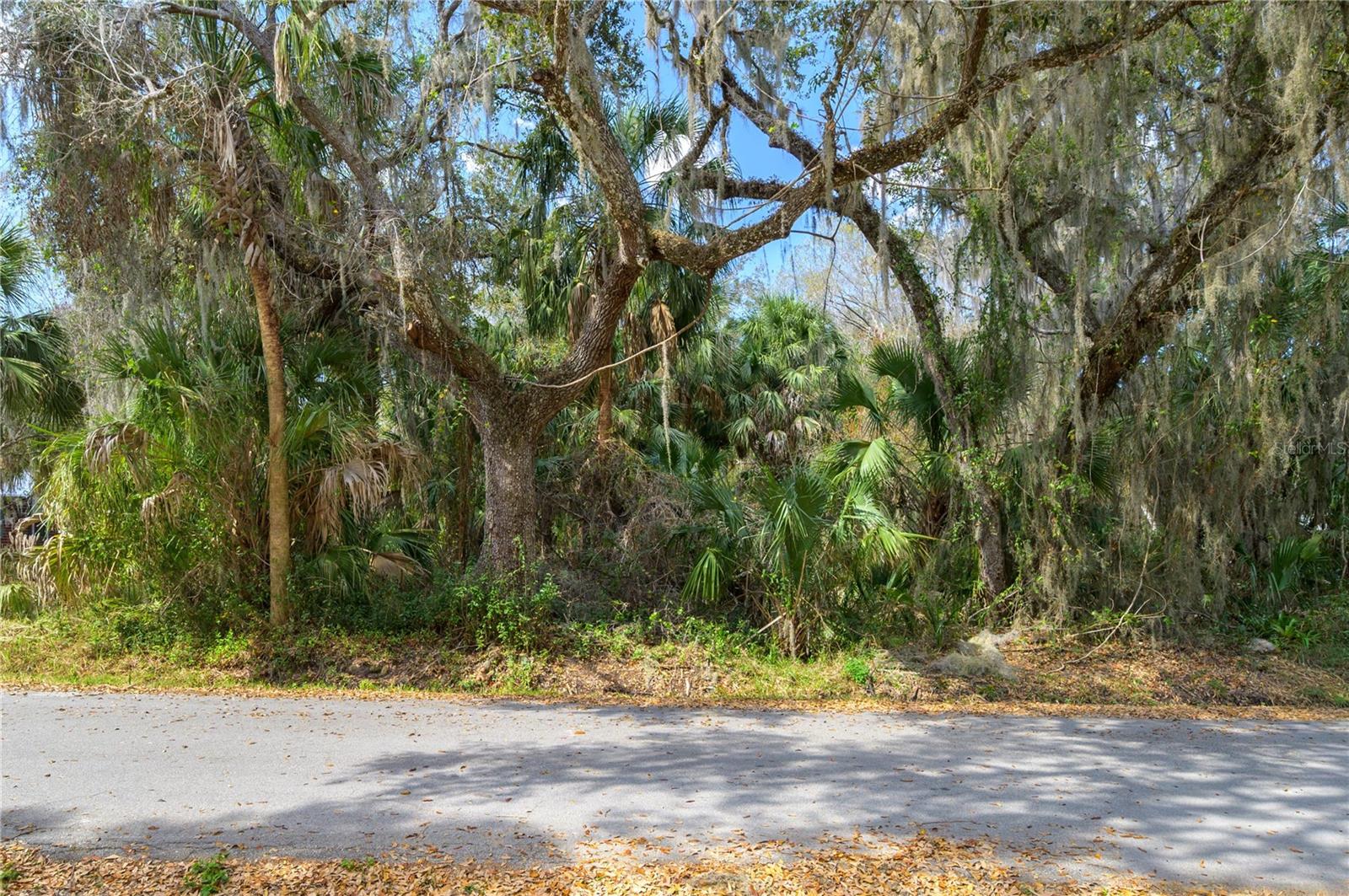 TIOTIE BEACH ESTATES UNIT 1 - Land