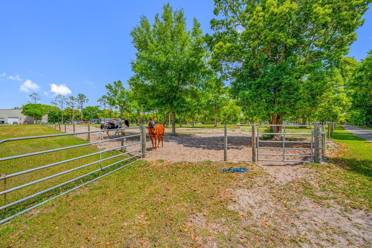 GUILLEN ESTATES LOT 5 REPLAT - Land