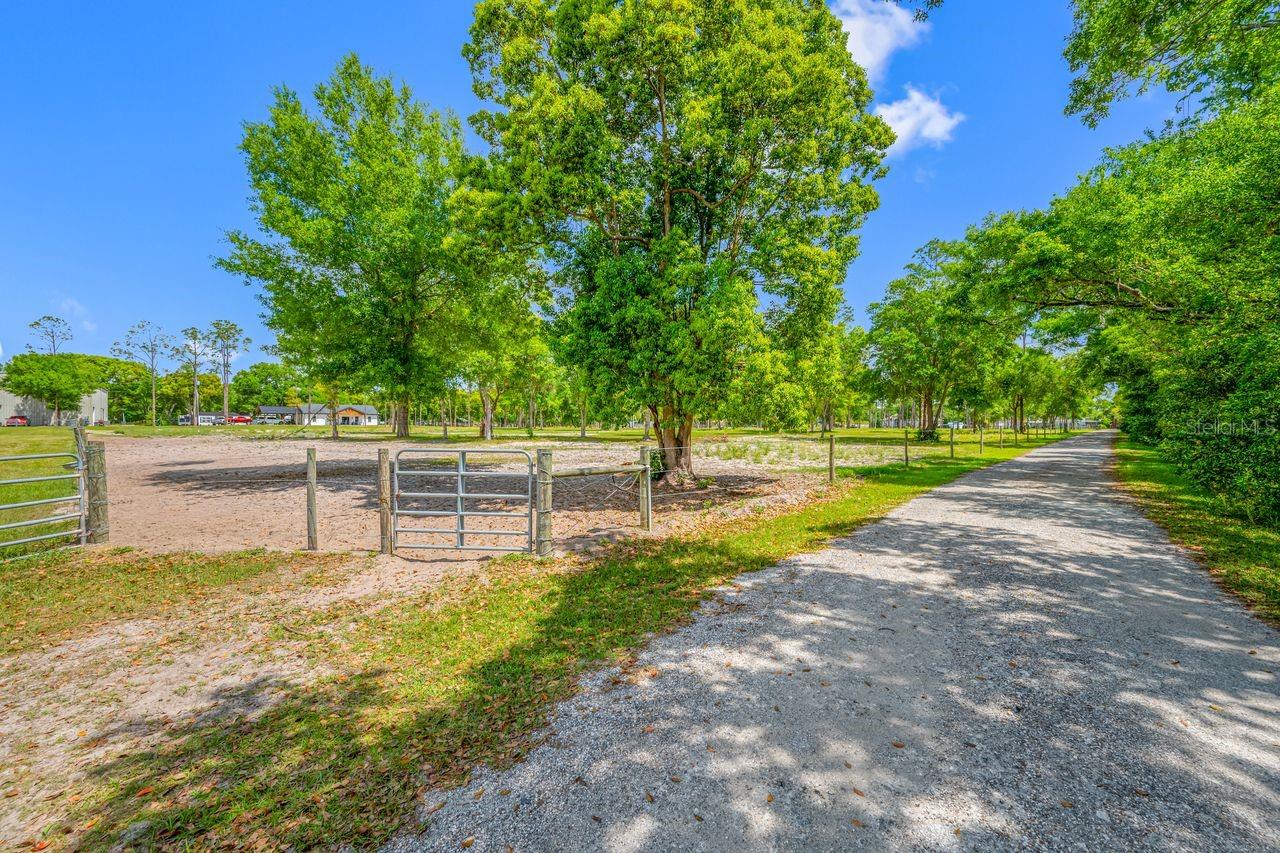 GUILLEN ESTATES LOT 5 REPLAT - Land