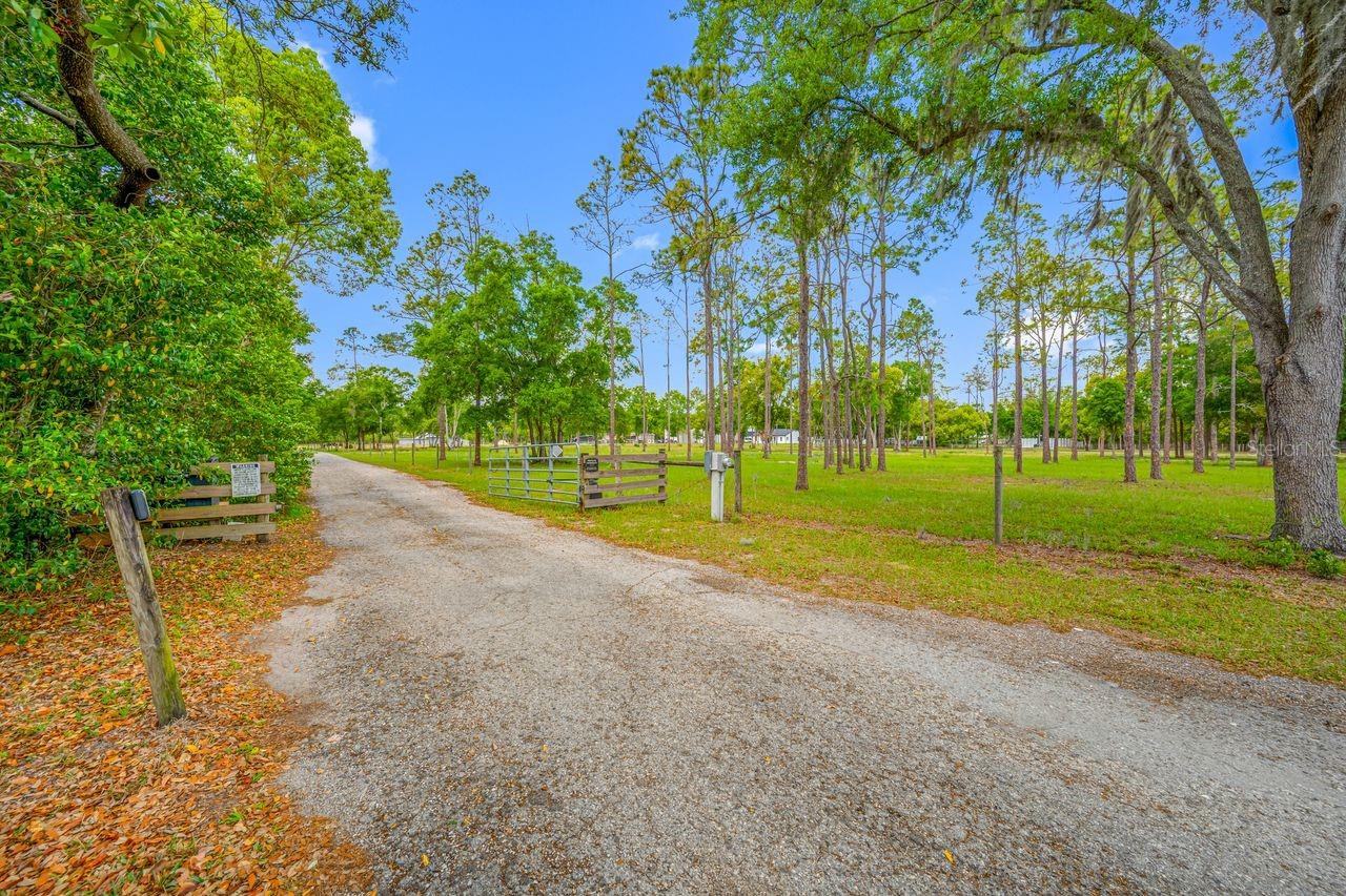 GUILLEN ESTATES LOT 5 REPLAT - Land